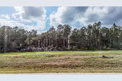 15583 Forest Grove Drive, Willis, TX 77378 - Photo 13