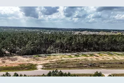 15583 Forest Grove Drive, Willis, TX 77378 - Photo 11