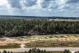 15583 Frst Grv Dr, Willis, TX 77378 - Photo 11