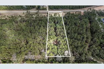 15583 Forest Grove Drive, Willis, TX 77378 - Photo 5