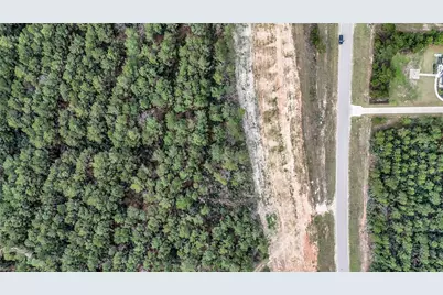 15583 Forest Grove Drive, Willis, TX 77378 - Photo 15