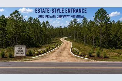 15583 Forest Grove Drive, Willis, TX 77378 - Photo 1