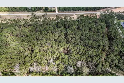 15583 Forest Grove Drive, Willis, TX 77378 - Photo 11