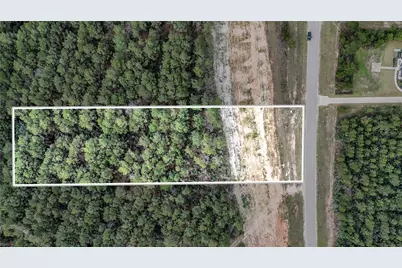 15583 Forest Grove Drive, Willis, TX 77378 - Photo 3