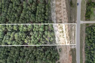 15583 Frst Grv Dr, Willis, TX 77378 - Photo 3