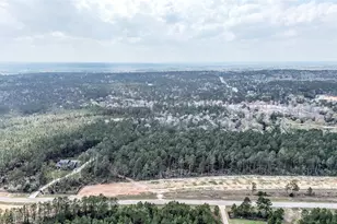 15583 Frst Grv Dr, Willis, TX 77378 - Photo 5