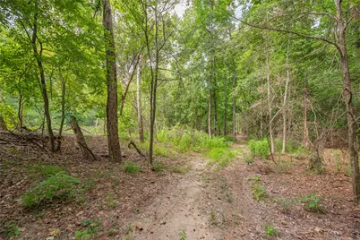 Tbd W Reel and Rifle, Livingston, TX 77351 - Photo 17