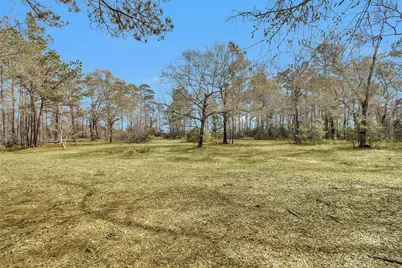 10067 White Rock Road, Conroe, TX 77306 - Photo 7