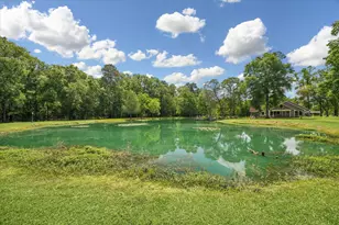 736 County Rd 3372, Cleveland, TX 77327 - Photo 47