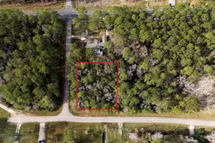 0 County Road 427 Loop, Dayton, TX 77535 - Photo 1