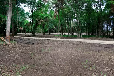 15 Ac Greenbriar Road, Madisonville, TX 77864 - Photo 13