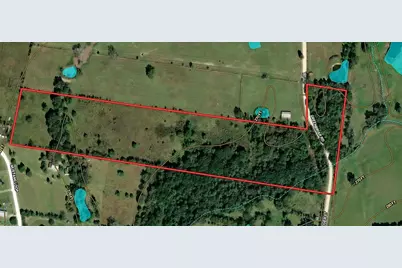 15 Ac Greenbriar Road, Madisonville, TX 77864 - Photo 15