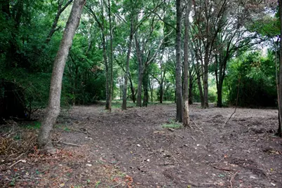 15 Ac Greenbriar Road, Madisonville, TX 77864 - Photo 7
