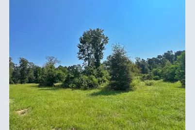 2599 Cr 131, Centerville, TX 75833 - Photo 21