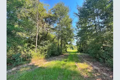 2599 Cr 131, Centerville, TX 75833 - Photo 27