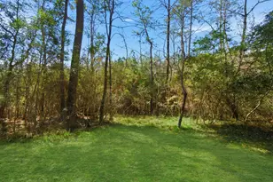 233 Pebble Creek, Livingston, TX 77351 - Photo 41
