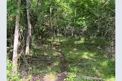 00 Tbd A0019 Fj Greenwood, Track 3 Fm 2445 Road, Navasota, TX 77868 - Photo 15