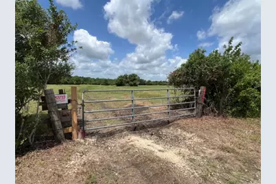 00 Tbd A0019 Fj Greenwood, Track 3 Fm 2445 Road, Navasota, TX 77868 - Photo 5