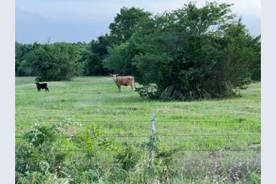 00 Tbd A0019 Fj Greenwood, Track 3 Fm 2445 Road, Navasota, TX 77868 - Photo 7