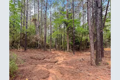 1 Benny Griffin Road, Livingston, TX 77351 - Photo 11