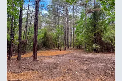 1 Benny Griffin Road, Livingston, TX 77351 - Photo 13