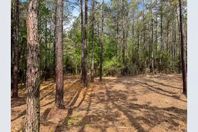 1 Benny Griffin Road, Livingston, TX 77351 - Photo 9