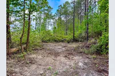 1 Benny Griffin Road, Livingston, TX 77351 - Photo 19