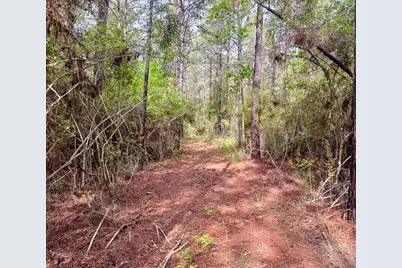 1 Benny Griffin Road, Livingston, TX 77351 - Photo 17
