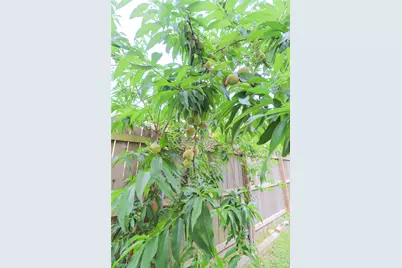 3012 Avenue O 1/2 #down, Galveston, TX 77550 - Photo 15