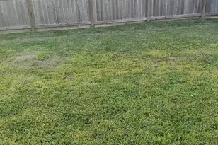 12711 Mystic Water Ln, Houston, TX 77044 - Photo 11