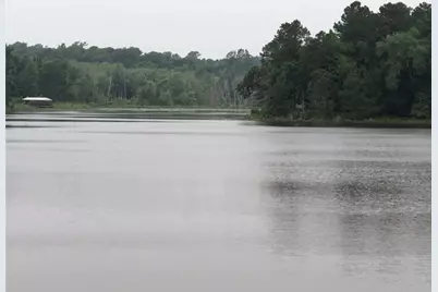 465 Private Road 1314, Centerville, TX 75833 - Photo 7