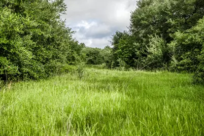 Tract 4 S Nassau Road, Round Top, TX 78954 - Photo 15