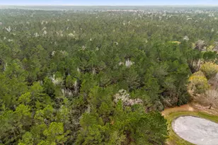 4504 Mistywood Ct, Montgomery, TX 77316 - Photo 15