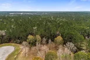 4504 Mistywood Ct, Montgomery, TX 77316 - Photo 5