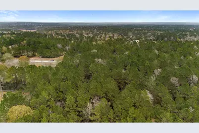 4504 Mistywood Court, Montgomery, TX 77316 - Photo 9