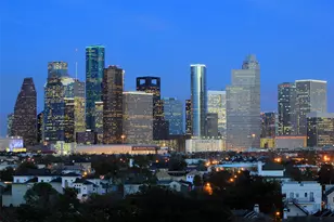 2109 Crocker St, Houston, TX 77006 - Photo 25