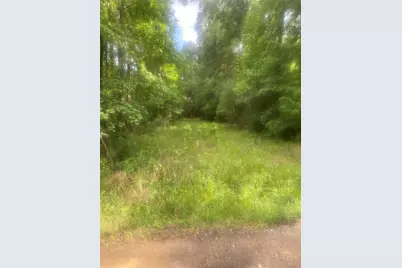 251 Pickens Loop, Livingston, TX 77351 - Photo 1