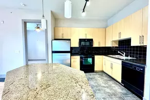 3660 Richmond St Ave, Houston, TX 77046 - Photo 3