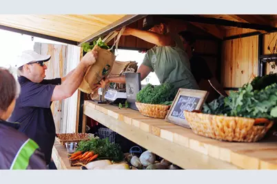 819 Fenugreek Fields Court, Manvel, TX 77406 - Photo 13