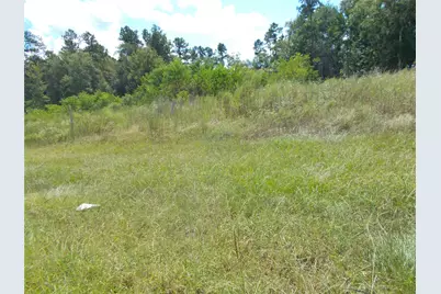 968 County Road 7, Damon, TX 77430 - Photo 5