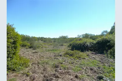 968 County Road 7, Damon, TX 77430 - Photo 3