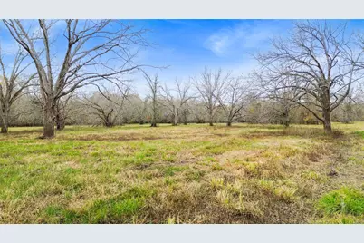 Tbd Pr 1350, Centerville, TX 75833 - Photo 15