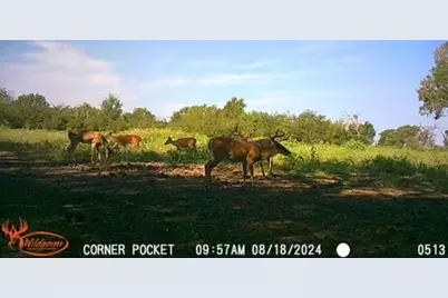 Tbd Pr 1350, Centerville, TX 75833 - Photo 3