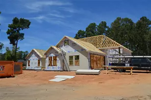 24564 Riley Rd, Plantersville, TX 77363 - Photo 3