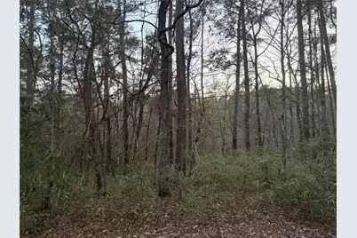 94 Green Tree Drive, Coldspring, TX 77331 - Photo 3