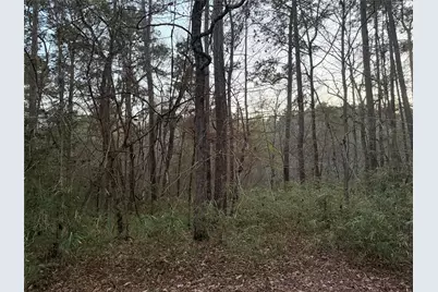 94 Green Tree Drive, Coldspring, TX 77331 - Photo 1