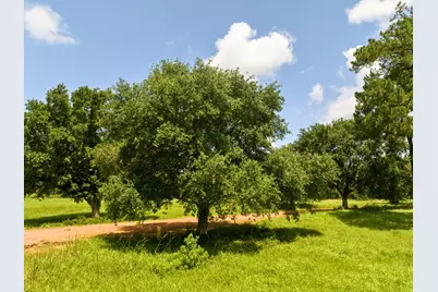 0 Lakeland Road, Hillister, TX 75979 - Photo 11