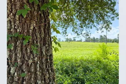 0 Lakeland Road, Hillister, TX 75979 - Photo 15