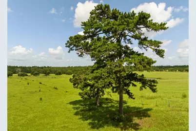 0 Lakeland Road, Hillister, TX 75979 - Photo 7