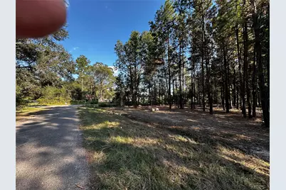 27100 Royal Coach, New Caney, TX 77357 - Photo 3